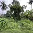  Tanah for sale in Ubud, Bali, Ubud, Gianyar