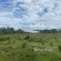 Terrain à vendre à San Felipe De Puerto Plata, Puerto Plata, San Felipe De Puerto Plata