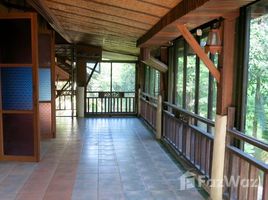 7 спален Дом for sale in Pa Daet, Mueang Chiang Mai, Pa Daet