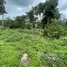  Land for sale in Na Mueang, Surat Thani, Na Mueang