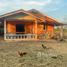 ขายบ้านเดี่ยว 2 ห้องนอน ใน นิคมพัฒนา, ลำปาง, นิคมพัฒนา, เมืองลำปาง, ลำปาง, ไทย
