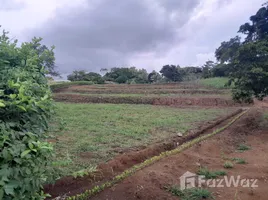  Grundstück zu verkaufen in Hojancha, Guanacaste, Hojancha, Guanacaste, Costa Rica