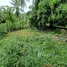  Land for sale in Khanom, Nakhon Si Thammarat, Khanom, Khanom, Nakhon Si Thammarat, Thailand