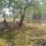  Land for sale in Ban Ueam, Lampang, Ban Ueam
