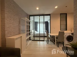 อพาร์ทเม้นท์ 1 ห้องนอน ให้เช่า ในโครงการ ไลฟ์ วัน ไวร์เลส, ลุมพินี