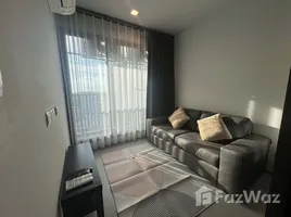 คอนโด 1 ห้องนอน ให้เช่า ในโครงการ ไลฟ์ ลาดพร้าว, จอมพล