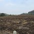  Land for sale in Phetchabun, Na Yom, Mueang Phetchabun, Phetchabun