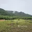  Land for sale at Toscana Valley Khaoyai , Pong Ta Long, Pak Chong, Nakhon Ratchasima
