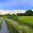  Land for sale in Chiang Rai, Rim Kok, Mueang Chiang Rai, Chiang Rai