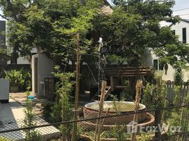 4 Bedrooms House for rent in Nong Chom, Chiang Mai Comepun Place