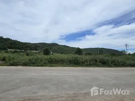 ขายที่ดิน ใน หนองแก, หัวหิน, หนองแก, หัวหิน, ประจวบคีรีขันธ์