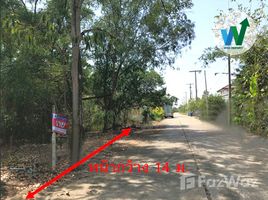 ขายที่ดิน ใน บึงบา, ปทุมธานี, บึงบา, หนองเสือ, ปทุมธานี, ไทย