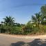  Земельный участок for sale in Khlong Yong, Nakhon Pathom, Khlong Yong, Phutthamonthon