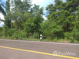 N/A Land for sale in Sam Phrao, Udon Thani 400 SQM Sam Phrao, Udon Thani land for sale