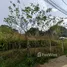 ขายที่ดิน ใน อ่าวนาง, กระบี่, อ่าวนาง