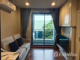 1 Bedroom Condo for rent at Totnes Kaset - Nawamin, Lat Phrao, Lat Phrao, Bangkok, Thailand