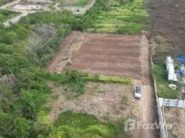 パトゥムターニー で売却中 土地区画, ノン・サム・ワン, ノン・スイア, パトゥムターニー