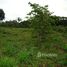  Land for sale in Presidente Figueiredo, Amazonas, Presidente Figueiredo