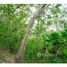  Land for sale in Roatan, Bay Islands, Roatan