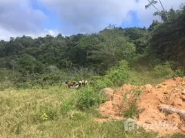  Terrain for sale in Chiriqui, Caldera, Boquete, Chiriqui