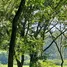  Terreno (Parcela) en venta en Argentina, Anta, Salta, Argentina