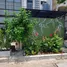  Shophouse for sale in Nong Kae, Hua Hin, Nong Kae