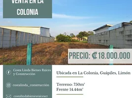  Terrain for sale in Limon, Pococi, Limon