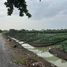  Земельный участок for sale in Bang Yang, Samut Sakhon, Bang Yang, Krathum Baen, Samut Sakhon, Таиланд