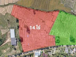 ขายที่ดิน ใน ปาย, แม่ฮ่องสอน, ปาย