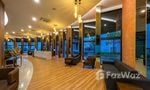 Reception / Lobby Area at Mida Grande Resort Condominiums