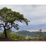  Land for sale in Guanacaste, Santa Cruz, Guanacaste