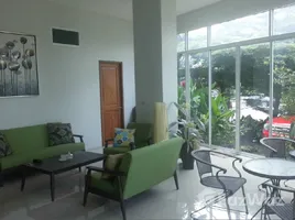 5 chambre Boutique for rent in Rawai, Phuket Town, Rawai