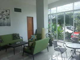 5 Bedroom Shophouse for rent in Phuket Town, Phuket, Rawai, Phuket Town