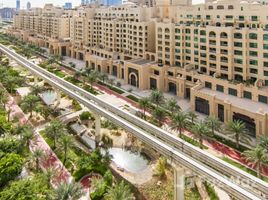 1 спален Квартира в аренду в Al Shahla, Shoreline Apartments, Palm Jumeirah, Дубай, Объединённые Арабские Эмираты