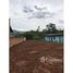  Land for sale in Ararica, Rio Grande do Sul, Ararica, Ararica