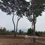 ขายที่ดิน ใน สันผีเสื้อ, เชียงใหม่, สันผีเสื้อ, เมืองเชียงใหม่, เชียงใหม่, ไทย