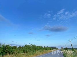 ขายที่ดิน ใน แปลงยาว, ฉะเชิงเทรา, แปลงยาว, แปลงยาว, ฉะเชิงเทรา, ไทย