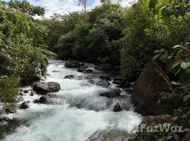  Terreno (Parcela) en venta en San José, Pérez Zeledón, San José