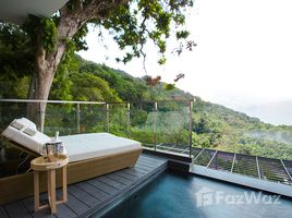 87 Schlafzimmer Haus zu verkaufen in Phuket Town, Phuket, Karon, Phuket Town, Phuket