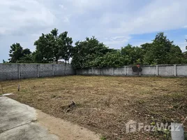  Terreno (Parcela) en venta en San Pu Loei, Chiang Mai, San Pu Loei, Doi Saket, Chiang Mai