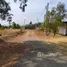  Land for sale in Nong Khwai, Phetchabun, Nong Khwai, Lom Sak