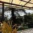 2 Bedroom House for rent in Patong, Phuket, Patong, Kathu, Phuket, Thailand