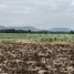  Land for sale in Wang Sai, Nakhon Ratchasima, Wang Sai, Pak Chong
