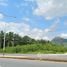  Land for sale in Don Sak, Surat Thani, Pak Phraek, Don Sak