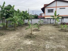  Земельный участок for sale in Wat Chai Mongkron, Nong Prue, Na Kluea