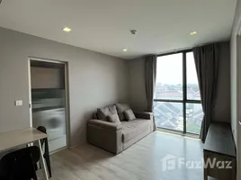 คอนโด 1 ห้องนอน ให้เช่า ในโครงการ แชมเบอร์ส ชาน ลาดพร้าว - วังหิน, ลาดพร้าว, ลาดพร้าว