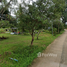  Grundstück zu verkaufen in Pak Phli, Nakhon Nayok, Na Hin Lat, Pak Phli, Nakhon Nayok