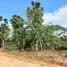  Terreno (Parcela) en venta en Amazonas, Anama, Amazonas