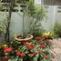 5 Bedroom House for rent in Khlong Toei Nuea, Bangkok, Khlong Toei Nuea