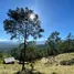  Terreno (Parcela) en venta en La Vega, Jarabacoa, La Vega